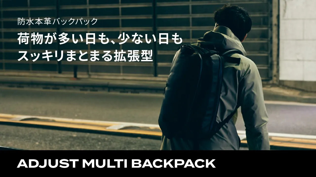 動画がロードされます。